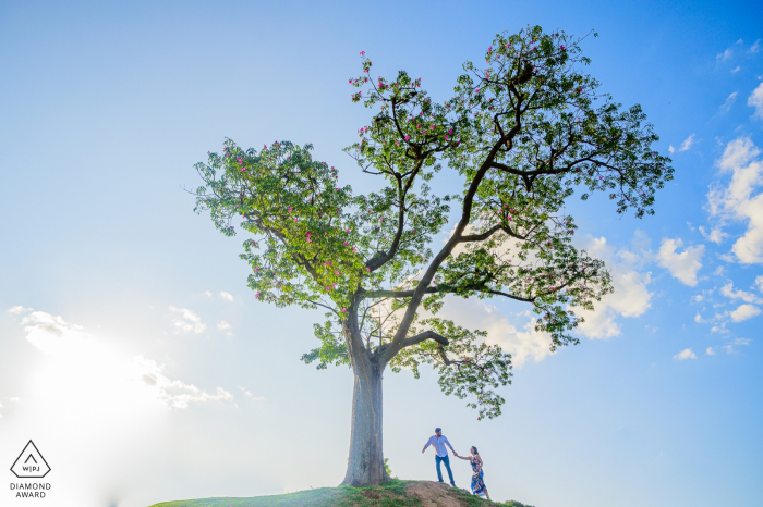 Campinas - São Paulo Pre-Wedding Portraits - A couple walk under the tree 