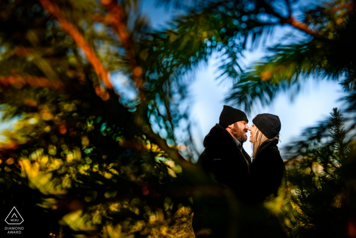 Giamarese Farm Christmas Tree Shopping and Kissing during Engagement Portrait Session