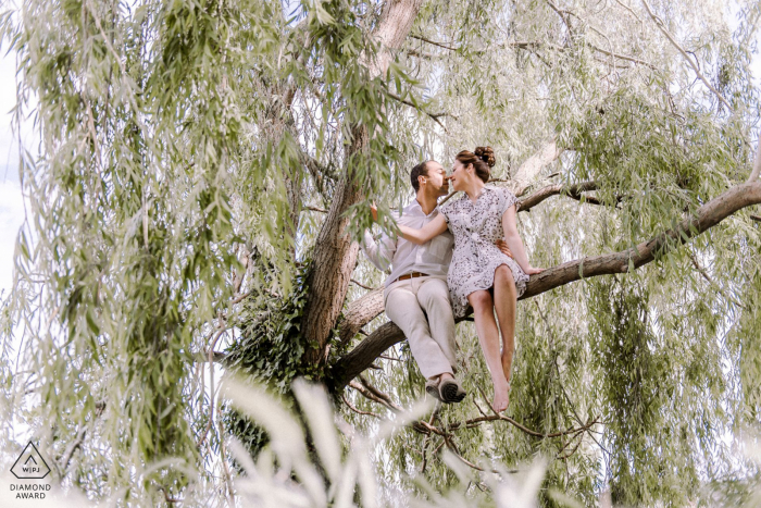 Engagement image of a couple sitting in a tree in Honfleur, France