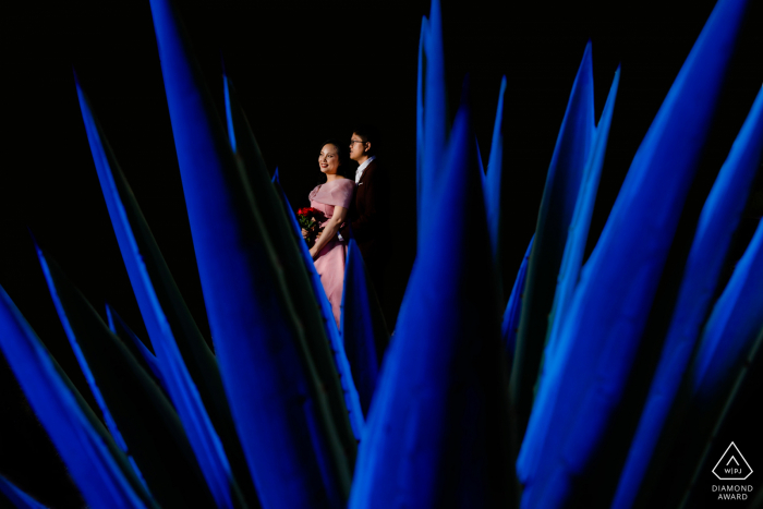 Photo by: <a href="https://www.wpja.com/photos/diamond-award-top-wedding-engagement-photographer/2580344">Tuan Duong - Ho Chi Minh Ho Chi Minh City pre wedding picture - Try something new, like a bush