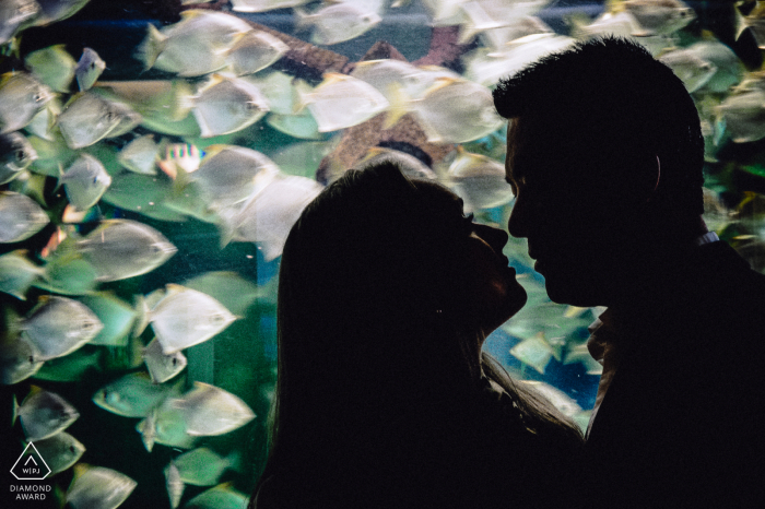 Séance de photographie de fiançailles à l'aquarium Two Oceans, Cape Town - Le couple aime les poissons et possède même son propre aquarium. Ils se sont fiancés à l'aquarium Two Oceans, nous avons donc décidé d'utiliser autant d'éléments de poisson que possible pour leurs photos de fiançailles.