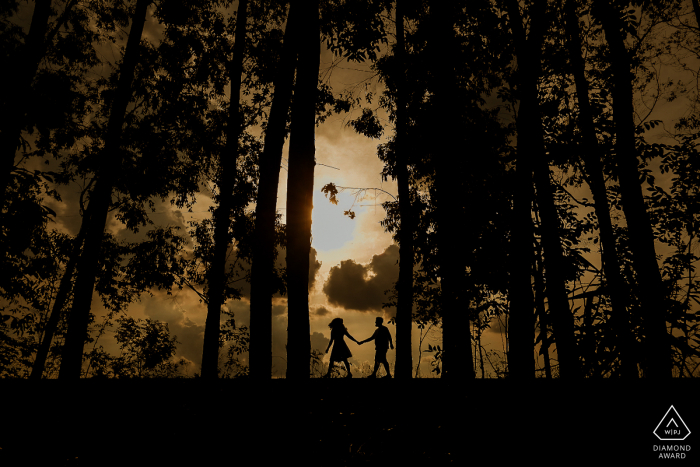 Fotografia de noivado | Foz do Iguaçu, Paraná, Brasil Amantes de árvores