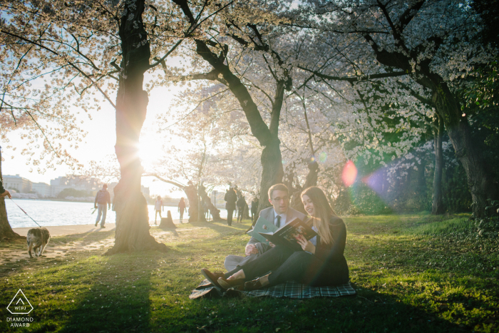 Sessão de fotos de noivado em Washington DC - Cherry Blossom by Tidal Basin.