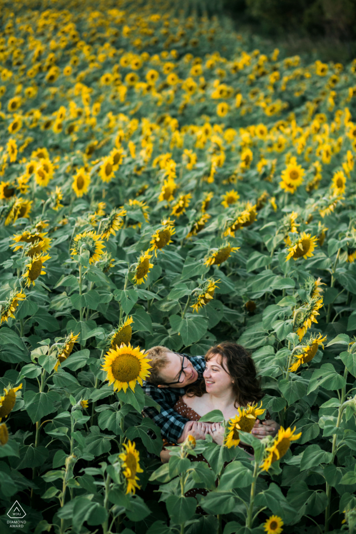 Harwood North Dakota Verlobungsporträt - Ein Paar lacht zusammen auf einem Sonnenblumenfeld.