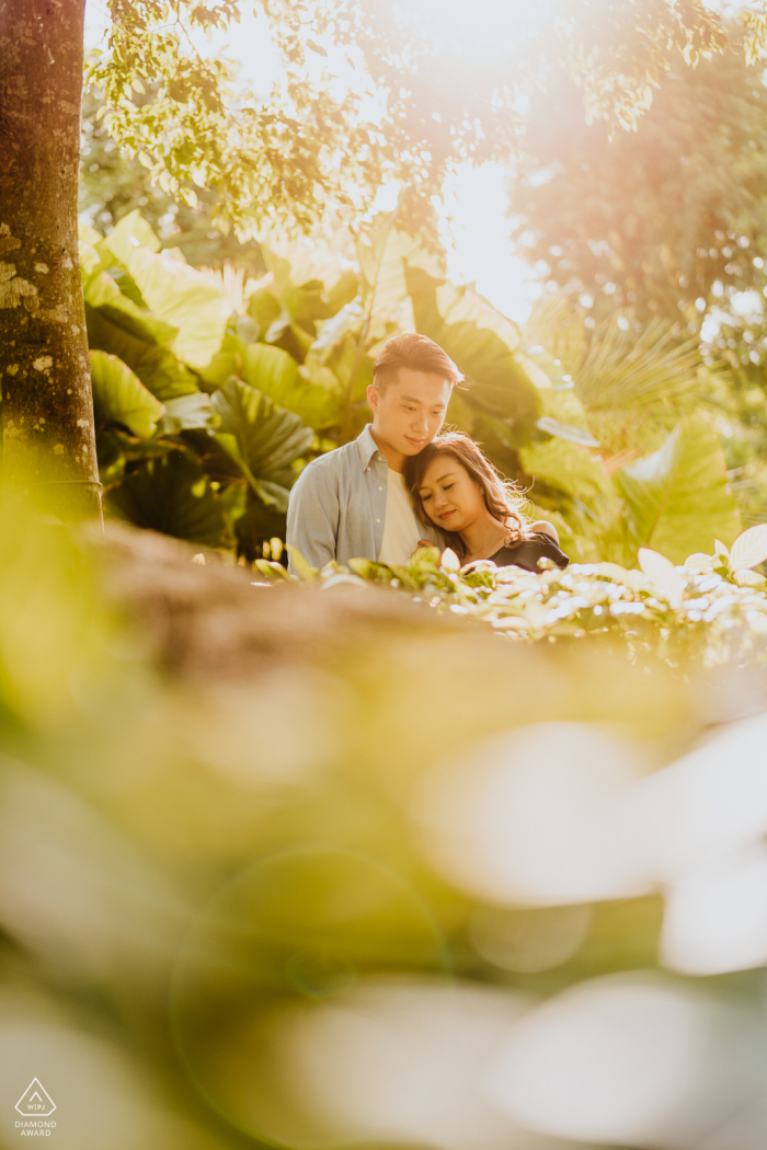 Photographe de fiançailles à Singapour: "Le soleil couchant qui tombe à travers le feuillage a créé une sensation de chaleur et de flou alors que mon couple s'est embrassé."