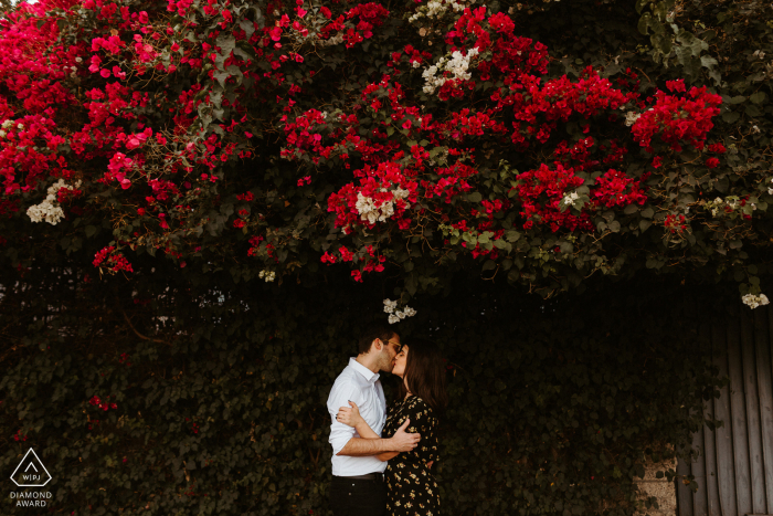 Downtown Los Angeles, California	engagement portraits - Finding nature in DTLA