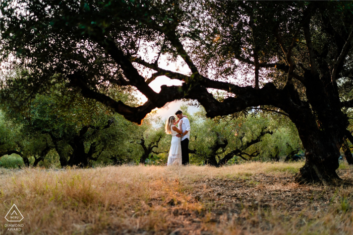 Liebe in der Mitte eines Olivenfeldes am Sonnenuntergang in Zakynthos, Griechenland