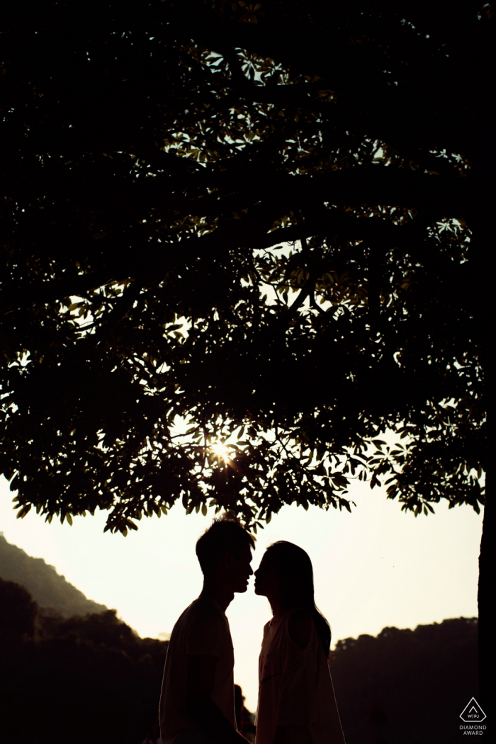 Portrait de silhouette de Guangzhou d'un couple fiancé s'embrassant sous de grands arbres