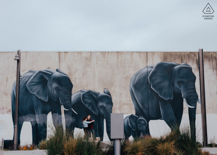 a Couple portrait in front of street art painting of elephants in Christchurch New Zealand Couple in front of street art painting of elephants in Christchurch