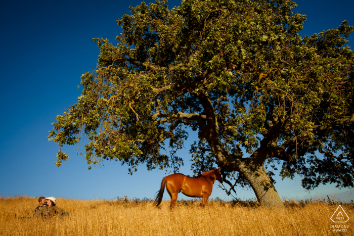 San Martin, California portraits of an engaged couple having a Picnic on the hillside with a horse and a big tree San Martin, California portraits of an engaged couple having a Picnic on the hillside with a horse and a big tree