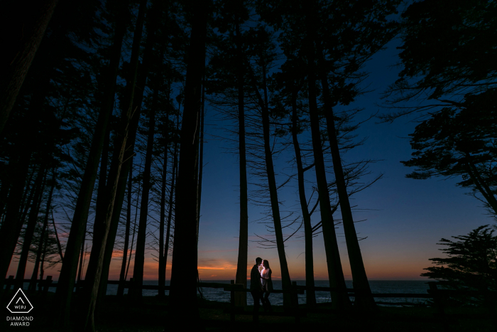 Sunset Bliss dans les arbres lors d'une séance de portrait de couple à Moss Beach, Californie