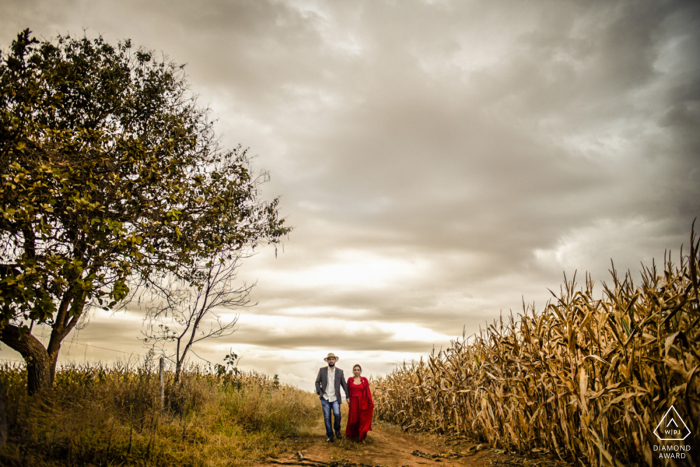 Una pareja de novios camina para hacerse un retrato En medio de la carretera, junto al campo de maíz quemado y la tormenta que se avecina en Pirinópolis, Goias.