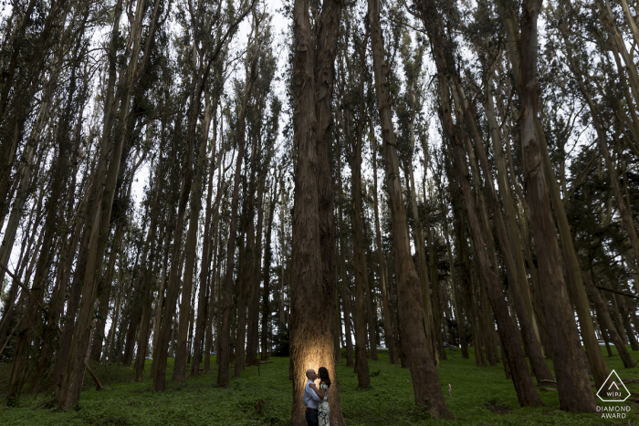 Fotos de noivado da Lovers Lane com as árvores altas e o retrato iluminado