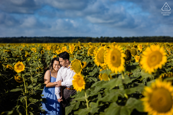 Sunflowers Field engagement portrait session for a couple in towering flowers