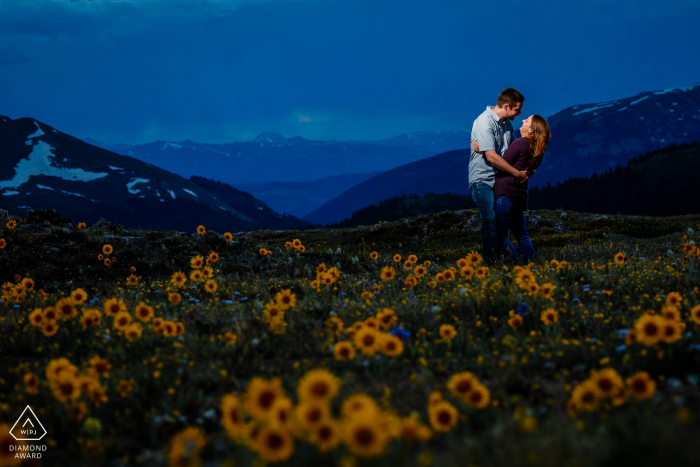 Os girassóis olham para o leste no dia seguinte, enquanto este casal representa um retrato da tempestade para o oeste em Independence Pass, CO