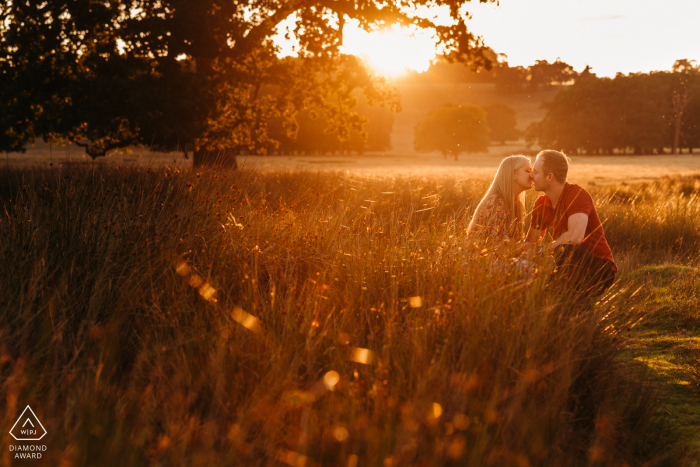 Tarde al aire libre sesión de fotos de compromiso de pareja en pastos altos retroiluminada por hermosa luz dorada en Petworth Deer Park, Petworth, West Sussex, Inglaterra