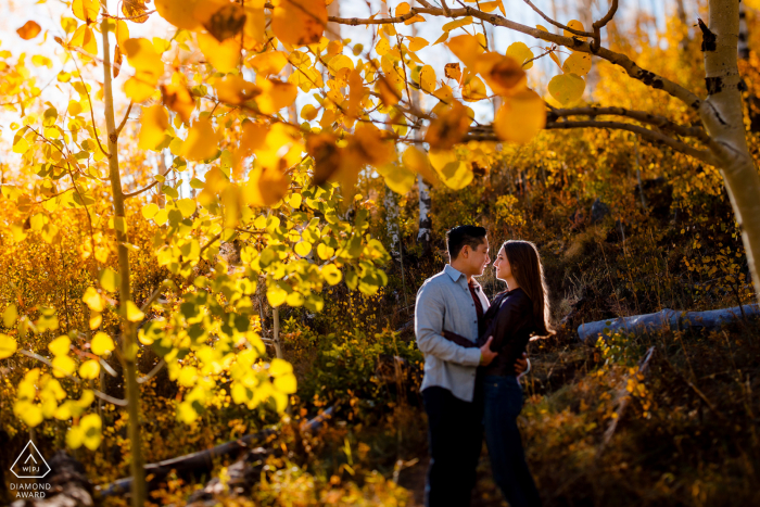 Mountain engagement photography in Vail, CO, backlit by the sun in a grove of golden aspen trees Mountain engagement photography in Vail, CO, backlit by the sun in a grove of golden aspen trees