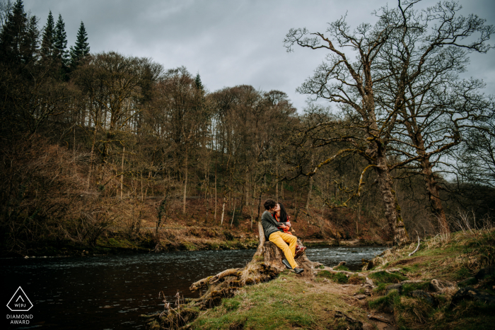 Bolton Abbey, Yorkshire, Großbritannien. Ein Verlobungsporträt, das das küssende Paar zeigt, während es auf einem Baumstumpf sitzt