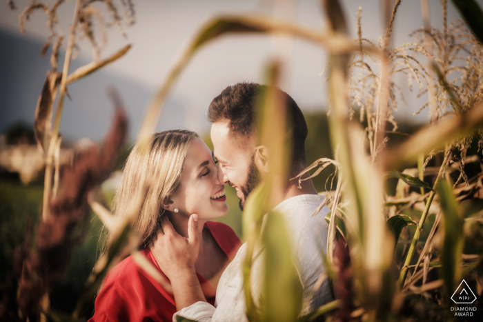 IT engagement photography from the corn fields of the Schio (Vicenza - Italy) Countryside