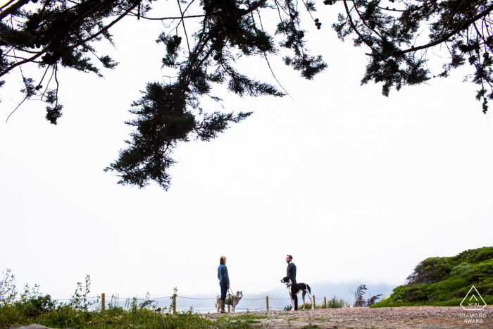 California pre wedding and engagement photography from San Francisco showing us "When Harry met Sally" with furry babies