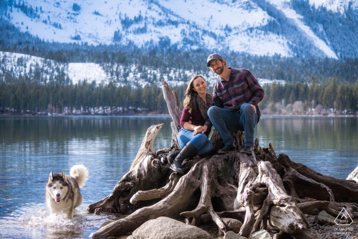 Ein Paar aus Fallen Leaf Lake, Kalifornien, sitzt auf einem Baumstumpf, während sein Husky während eines kreativen Porträtshootings vor der Hochzeit durch das gefrorene Wasser des Sees wandert