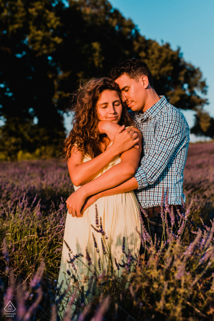 Plateau de Valensole, Mini-sessão de fotos nos Alpes de Haute Provence antes do dia do casamento - casal em um campo de flores