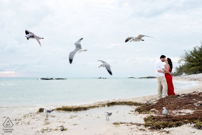 Séance de portrait du parc d'État de Fort Zach à la plage avec quelques mouettes sur le chemin