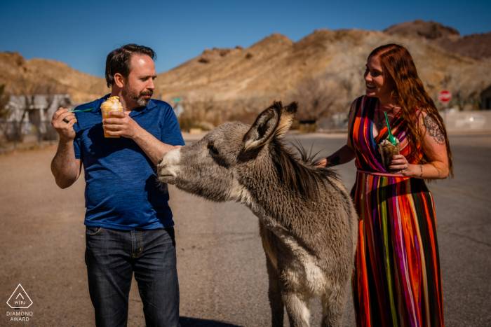 Humorvolle Paarporträtsitzung im Death Valley National Park mit einem wilden Esel, der versucht, Ananas-Slus zu ergattern