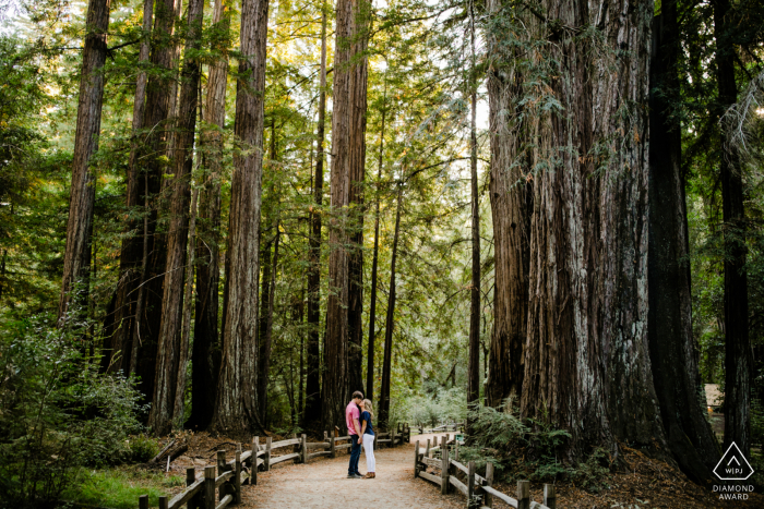 Big Basin, California forest pre wedding shoot