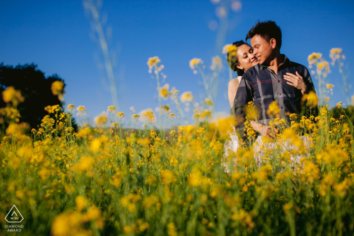 Retratos de casal em San Jose, Califórnia, em um campo de mostarda de primavera