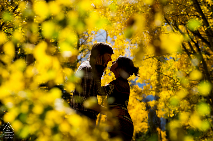 Pinegree Park, Colorado romantic couple session surrounded by aspen trees in peak Fall colors on a hike