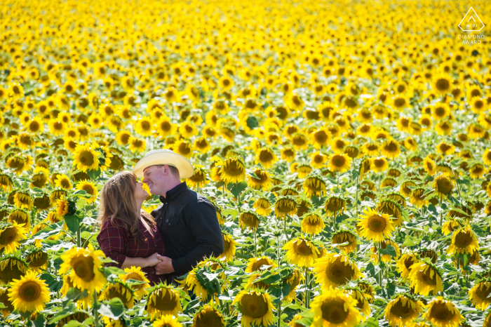 Cheyenne, Wyoming Paar Porträt in einem Feld von Sonnenblumen von einer Leiter genommen