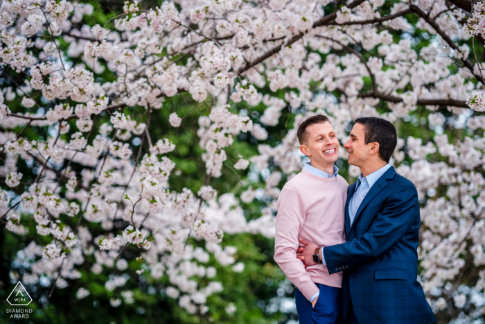 Tidal Basin, Washington DC, al di fuori della foresta, sessione fotografica prima del giorno del matrimonio per un ritratto di fidanzamento con fiori di ciliegio