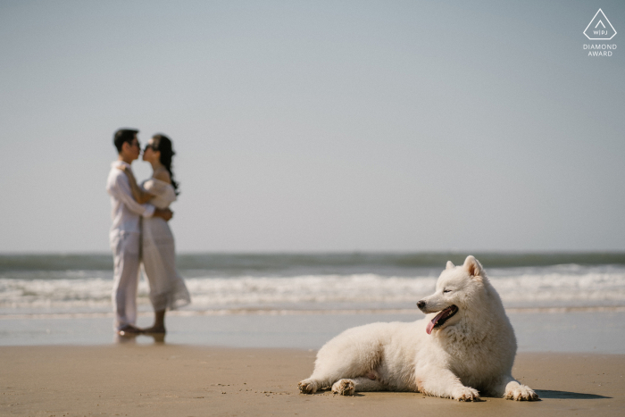 La playa de Ho Tram, la playa de Vietnam sesión de fotografía de pareja antes del día de la boda con un perro tumbado en la arena