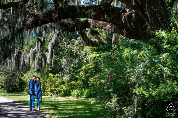 Magnolia Plantation and Gardens pre - immagine del matrimonio a Charleston, SC con la coppia in piedi sotto un bellissimo albero nei giardini di Magnolia