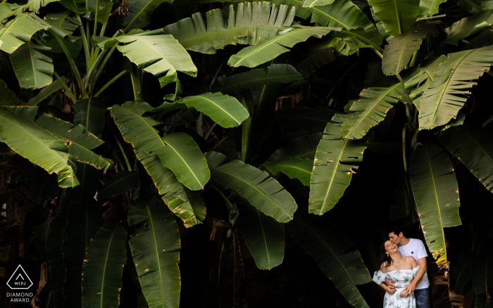 Atalaia, Alagoas pre - wed image with the soon to be Bride and groom smile among leaves of a tree