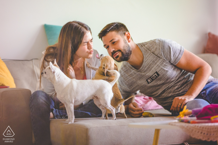 Retrato de pareja de Palermo antes del matrimonio en casa en el sofá con dos perros pequeños