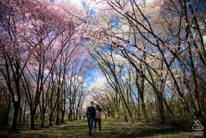 Narodowe Arboretum w Waszyngtonie Artystyczne zdjęcie zaręczynowe stworzone, gdy para spaceruje po polu pełnym wiśni