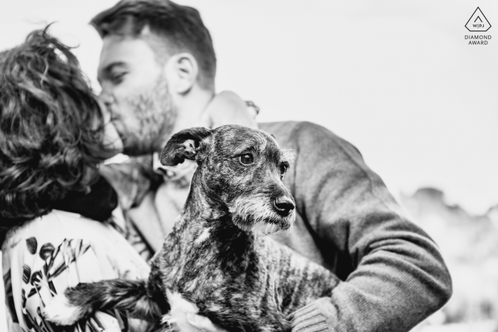 Rimini Country Fine Art Engagement Image showing the little dog is waiting while the engaged couple is kissing Rimini Country Fine Art Engagement Image showing the little dog is waiting while the engaged couple is kissing