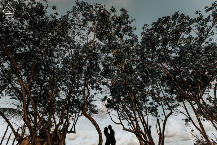 Patacho Artful Engagement Picture in Alagoas under the trees of love 