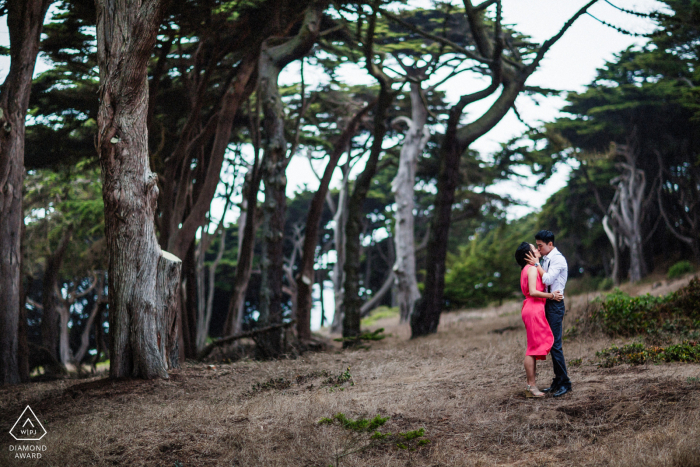 Photos de fiançailles aux beaux-arts de San Francisco avec un tendre baiser dans la forêt de cyprès