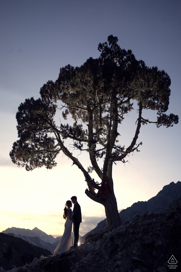 E-session d'engagement environnemental Delingha sous un arbre immense avec de superbes silhouettes