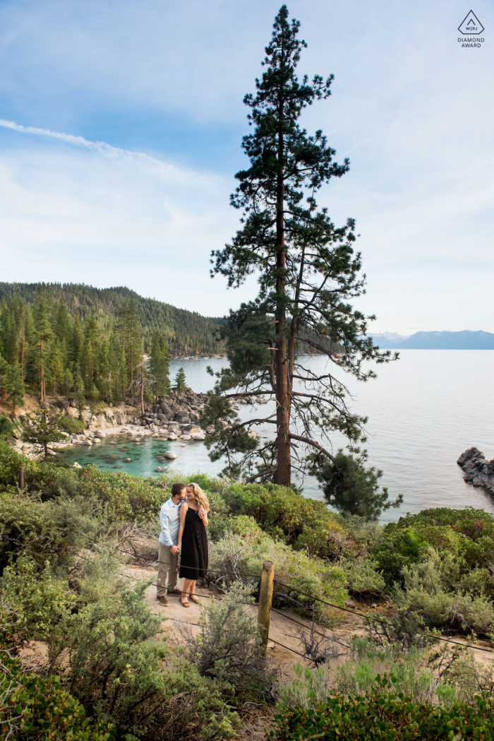 Una sessione di ritratti pre-matrimonio pre-matrimonio del Nevada True Love a Lake Tahoe che mostra una coppia sotto un grande pino vicino all'acqua ad abbracci che si affacciano sul Lago Tahoe al tramonto