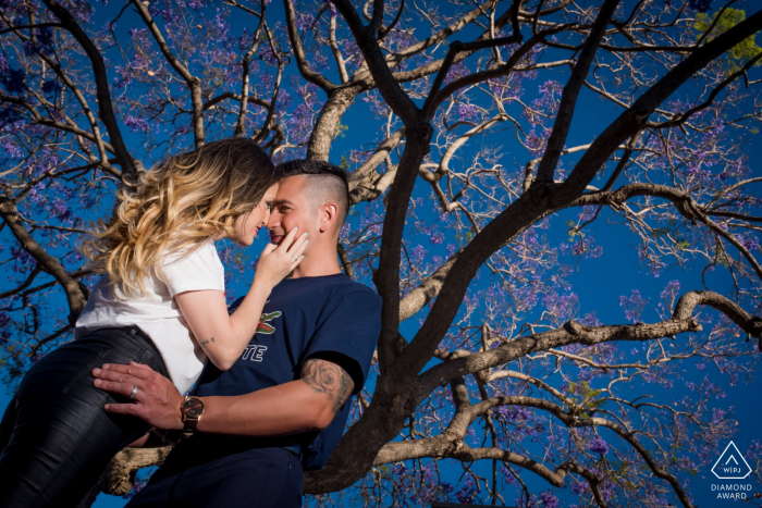 Sessão fotográfica de amor verdadeiro antes do casamento em Almeria de um casal se abraçando sob uma árvore com cores brilhantes