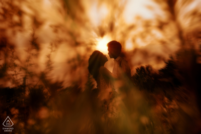 Shannxi Xi'an couple e-session behind a bush at sunset