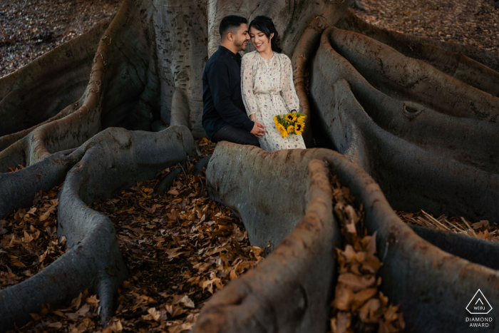 Perth bride and groom to be, sitting for a pre-wedding engagement session on the huge tree roots