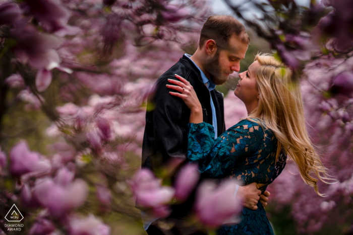 Washington DC futuri sposi, posano per un servizio fotografico di fidanzamento pre-matrimonio al National Arboretum mentre la coppia si abbraccia in una giornata ventosa tra gli alberi di magnolia