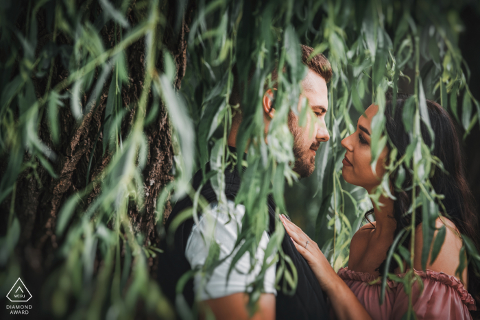 Szeged, Hungría, pareja ambiental antes de la boda, sesión de imágenes en las hojas de los árboles colgantes