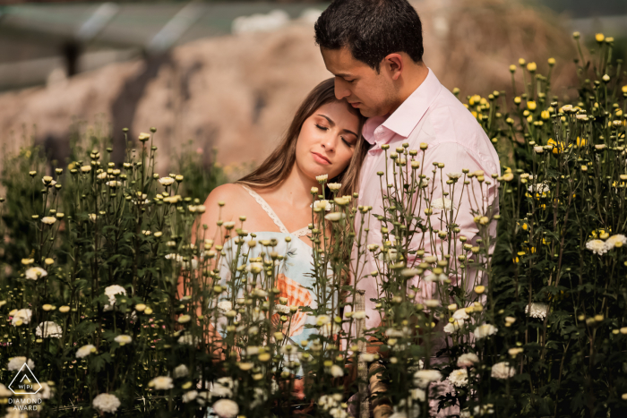 Séance photo avant le mariage à Petrópolis dans un champ de grandes fleurs blanches et jaunes