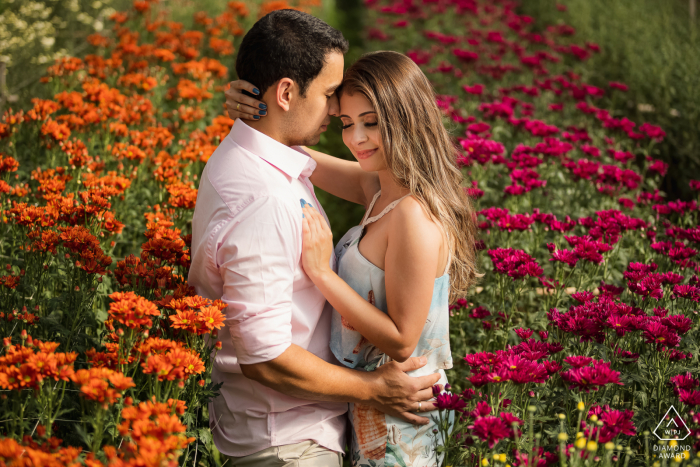 Fotosession vor der Hochzeit in Petrópolis, RJ mit dem Paar, umgeben von orangefarbenen und rosa Blumenfeldern Fotosession vor der Hochzeit in Petrópolis, RJ mit dem Paar, umgeben von orangefarbenen und rosa Blumenfeldern